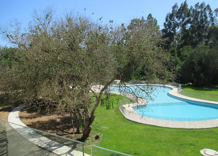 Lomas de Papudo III