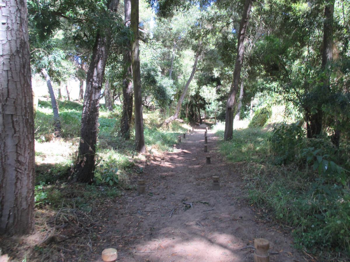 Lomas 3 Bosque Y Playa Apartamento