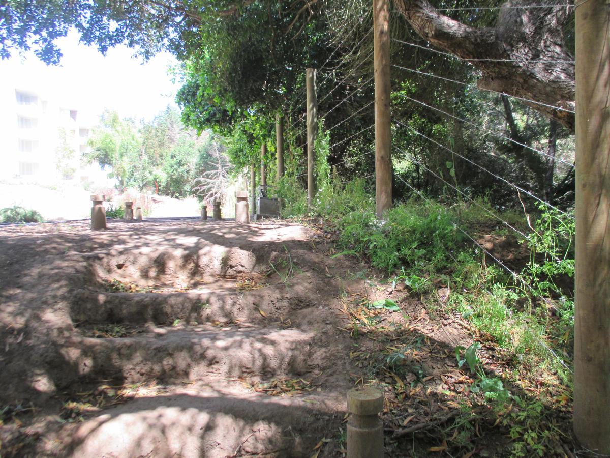 Lomas 3 Bosque Y Playa *