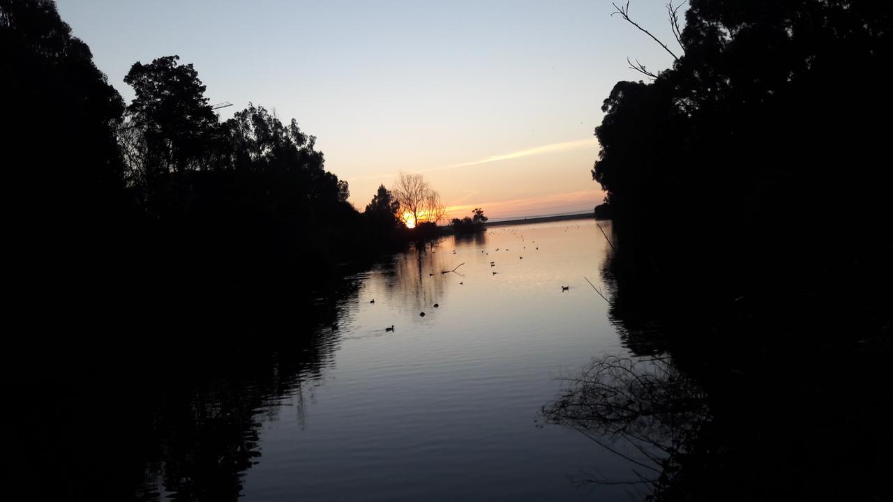Lomas 3 Bosque Y Playa