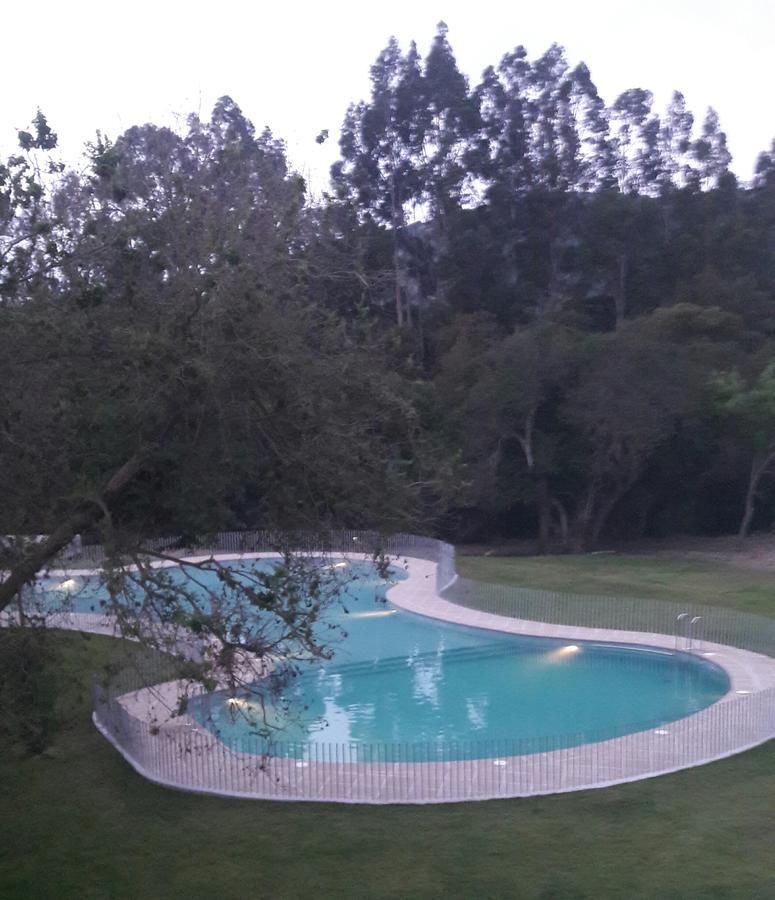 Lomas 3 Bosque Y Playa Papudo