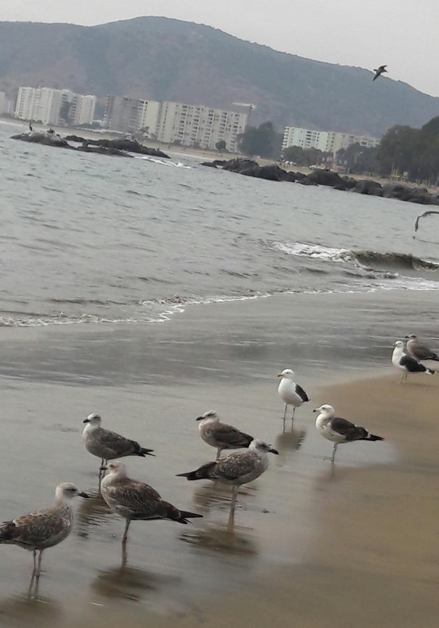 Apartamento Lomas 3 Bosque Y Playa *